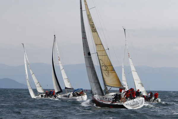 Güney Marmara Kupası Görsel 2