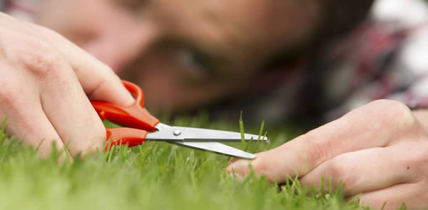 Mükemmelliyetçi Olma