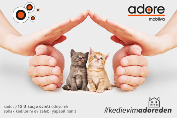 Geleneksel Adore Kedi Evi Projesi Yeniden Başlıyor