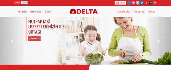 Delta Soğutma Web Sitesi Yenilendi