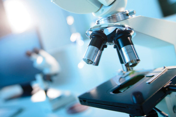 Online laboratuvar hizmetleri