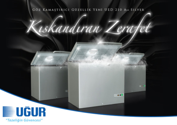 Kıskandıran Zerafet UED 210 Gümüş A++, Satışa Sunuldu