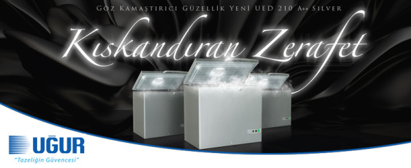 Kıskandıran Zerafet UED 210 Gümüş A++, Satışa Sunuldu