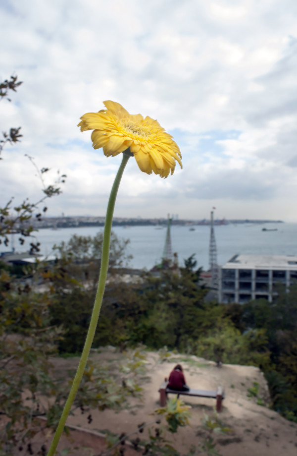 Sebahat Ersoy, Women of Anatolia, 1, ray of hope in gloom, 2016