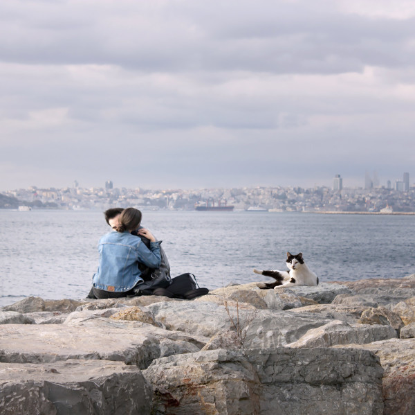 Sebahat Ersoy, Women of Anatolia, 5, guardian angel of love