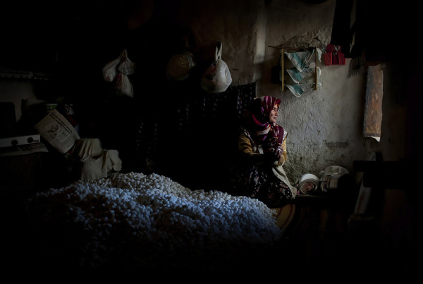 Sebahat Ersoy, Women of Anatolia, extra6, cocoon, 2011