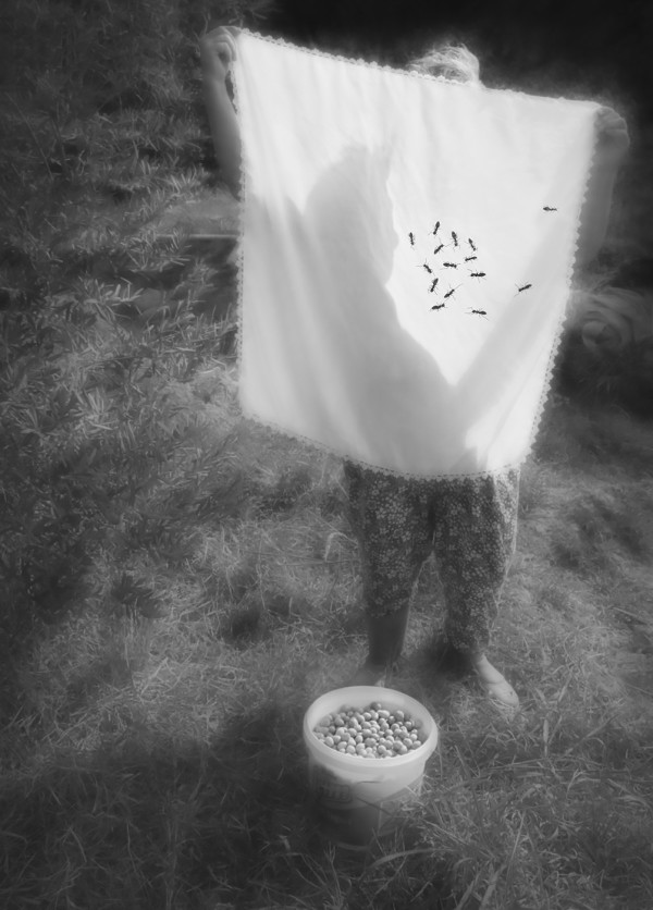 Sebahat Ersoy, Women of Anatolia, extra8, Tingling Soul, 2014