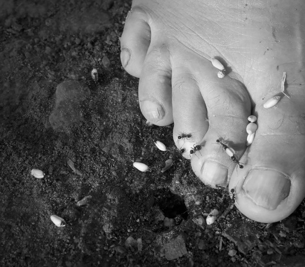 Sebahat Ersoy, Women of Anatolia, extra9, Habitat, 2014