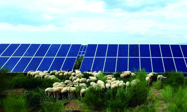 Kubuqi işletme modeli