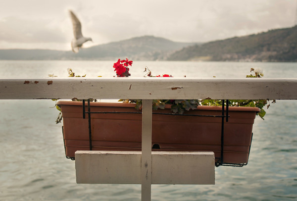 Terapi Kulübü - Görsel 3