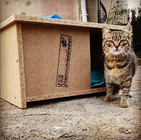 Adore Mobilya - Kedi Evi Projesi