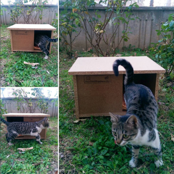 Adore Mobilya - Kedi Evi Projesi