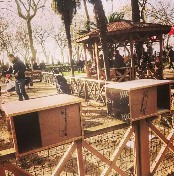 Adore - Kedi Evi Projesi