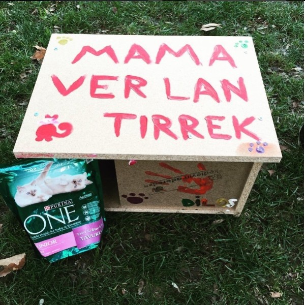 Adore - Kedi Evi Projesi