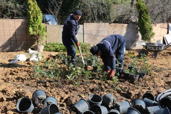 Boş Bulduğumuz Her Alanı Yeşillendireceğiz - Görsel 1