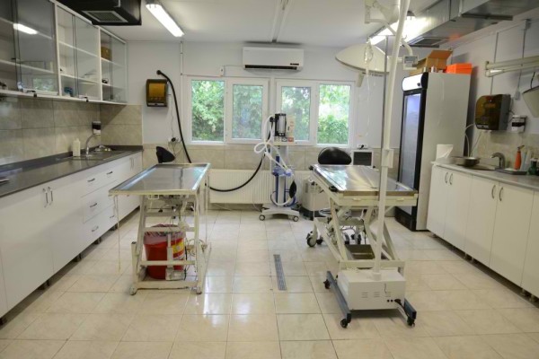 Soğukta Sahipsiz Hayvanlar Unutulmadı - Görsel 2