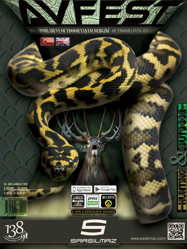 Avfest Dergisi Aralik 2018 kapak gorseli