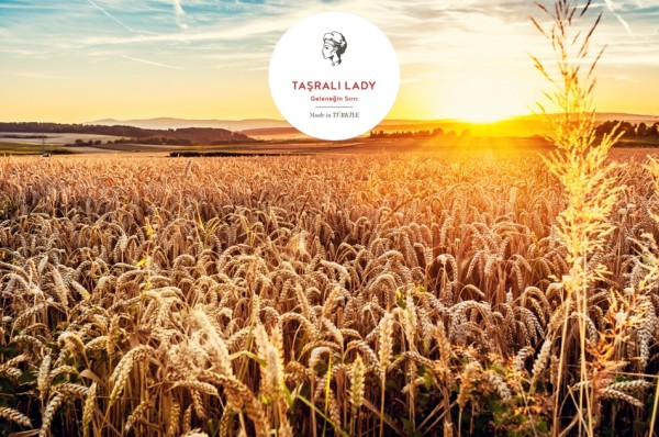 ÇAVDAR KARADENİZ BÖLGESİNDEN Mİ GELME?