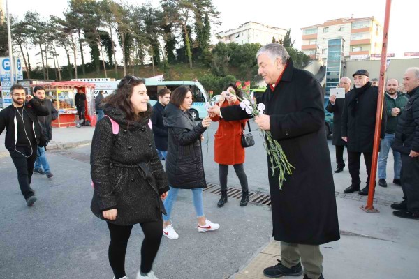 karanfil dağıtımı