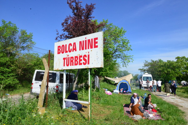 bolca nine 