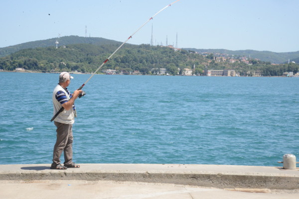 balık