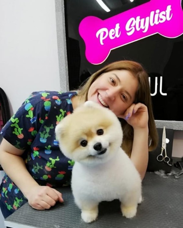 Köpeklere özel güzellik merkezleri talep görüyor