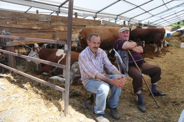 kurban kesim alanı