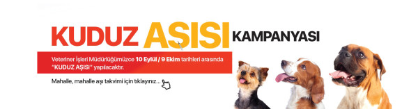 kuduz aşısı 