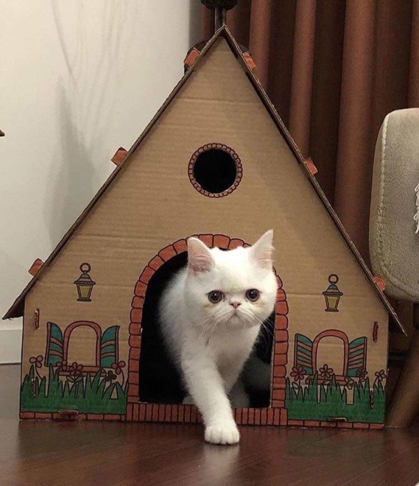 Hoagard tasarım atölyesi