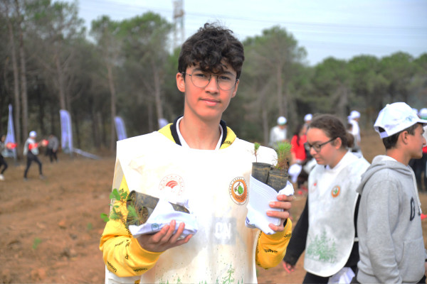 fidan dikimi