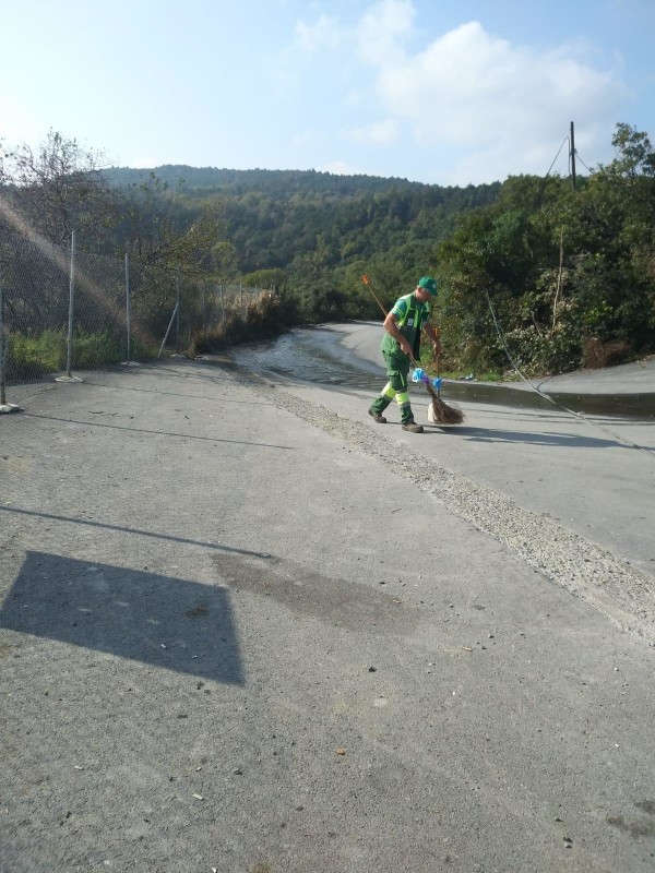 Temizlik