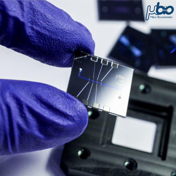 Likit biyopsi konusunda iş birliği