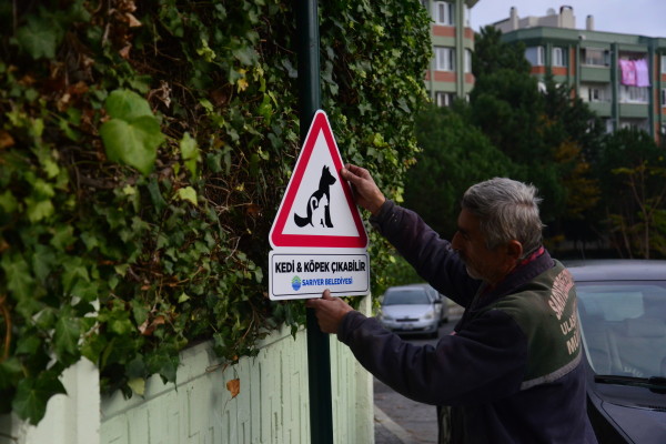 dikkat kedi köpek çıkabilir tabela