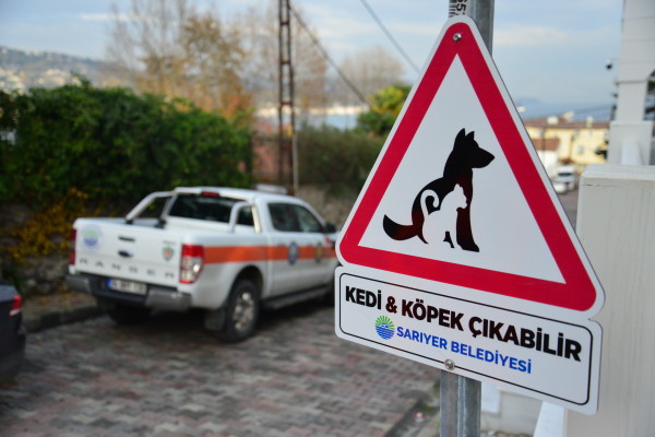 dikkat kedi köpek çıkabilir tabela