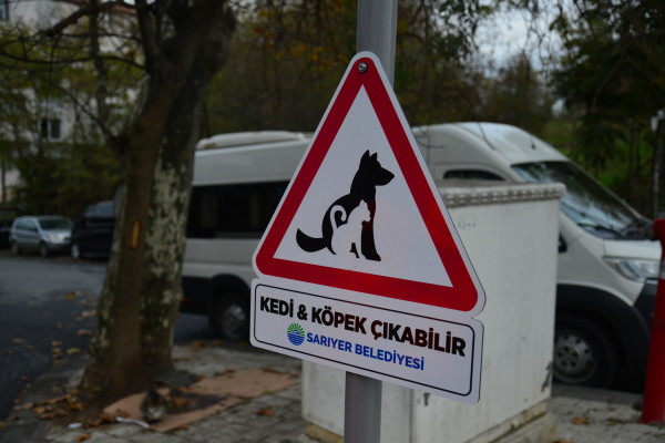dikkat kedi köpek çıkabilir tabela