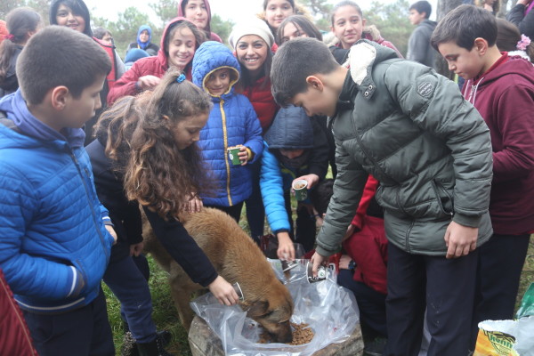 Cocuklar Besleme