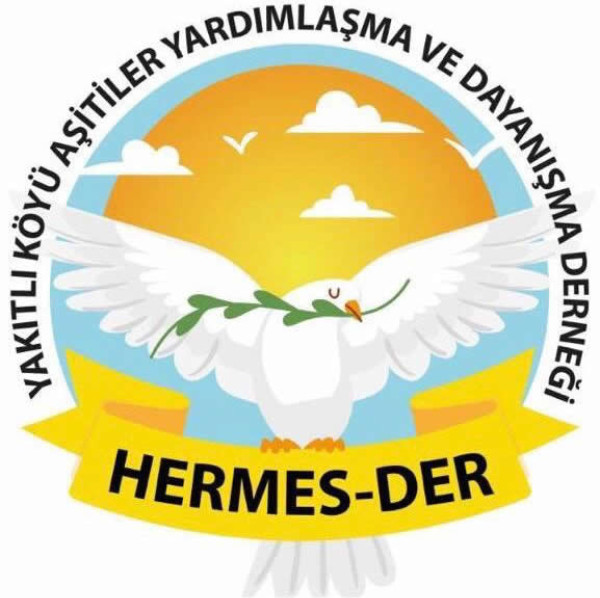 Hermes-Der Logo