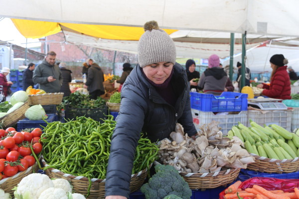 Şenay Akgül