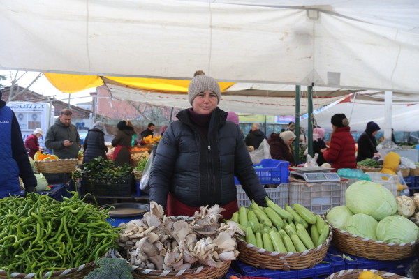 Şenay Akgül