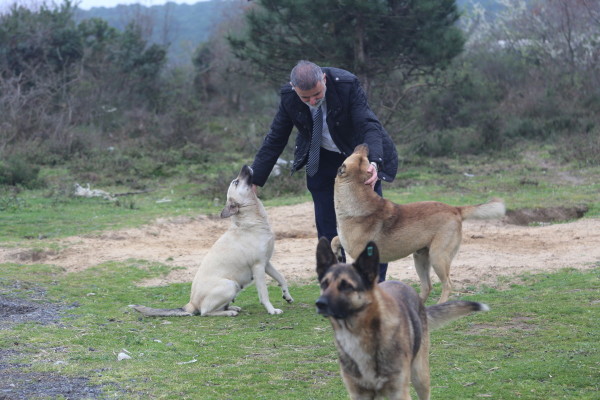 nadir günday