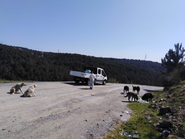 besleme