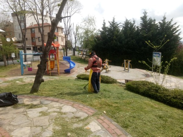 park dezenfekte