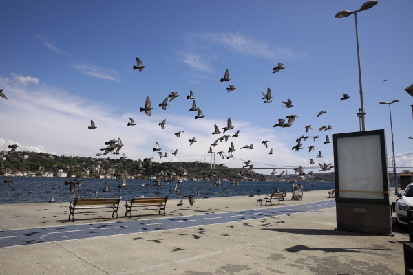 emirgan