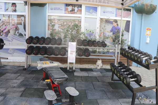 spor