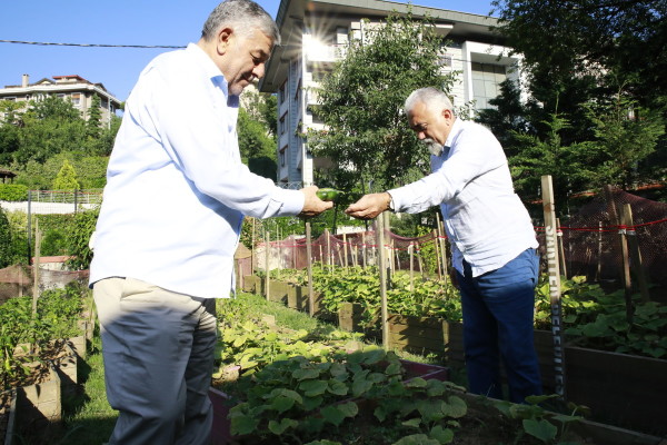 Yaşam Merkezi