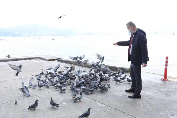 hayvan besleme noktaları