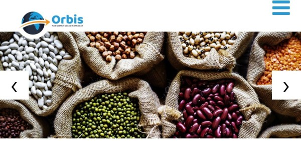 Web Sitesi Görüntüsü