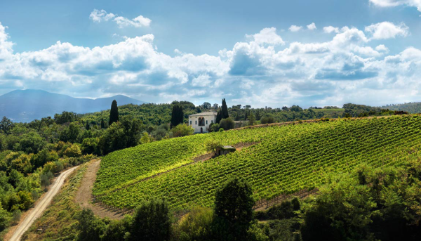 Cattolica Üniversitesi (Università Cattolica Del Sacro Cuore)