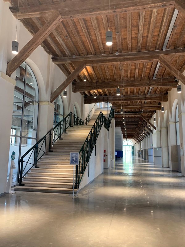 Cattolica Üniversitesi