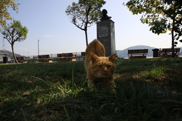 SARIYER PARKLARI